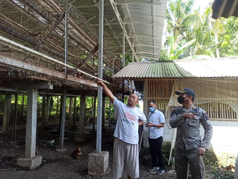 SATPOL PP BANTUL MELAKSANAKAN PENINJAUAN LOKASI KANDANG AYAM YANG MENDAPAT PENOLAKAN WARGA