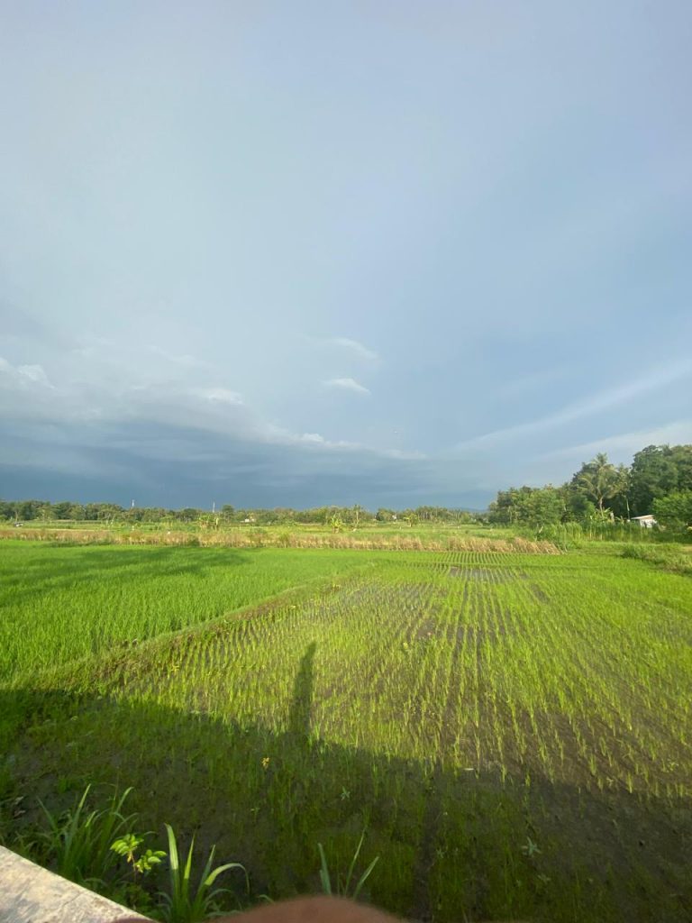 DALAM RANGKA PERINGATI HARI TANI NASIONAL, SERIKAT PETANI KOMITMEN JAGA KAMTIBMAS KONDUSIF DALAM RANGKA PERINGATI HARI TANI NASIONAL, SERIKAT PETANI KOMITMEN JAGA KAMTIBMAS KONDUSIF
