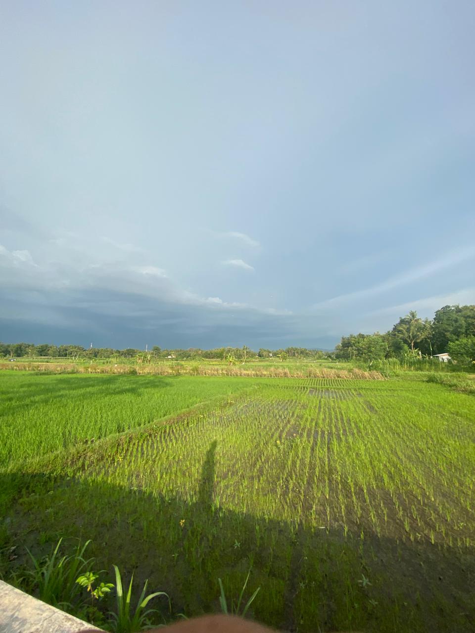 DALAM RANGKA PERINGATI HARI TANI NASIONAL, SERIKAT PETANI KOMITMEN JAGA KAMTIBMAS KONDUSIF DALAM RANGKA PERINGATI HARI TANI NASIONAL, SERIKAT PETANI KOMITMEN JAGA KAMTIBMAS KONDUSIF