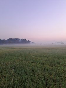 PERINGATAN HARI TANI, SPI AKAN BAGI BERAS DAN SEMBAKO PERINGATAN HARI TANI, SPI AKAN BAGI BERAS DAN SEMBAKO
