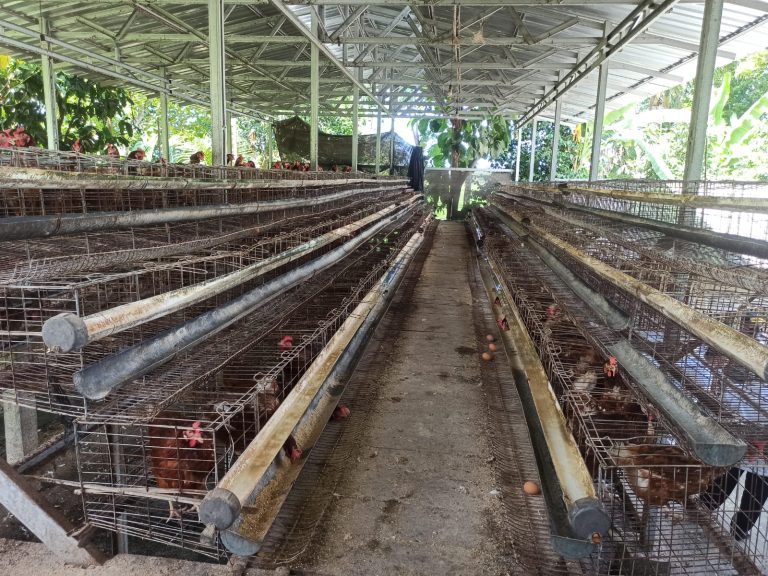 Paguyuban peternak ayam petelur Bantul berkomitmen menjaga situasi kamtibmas kondusif